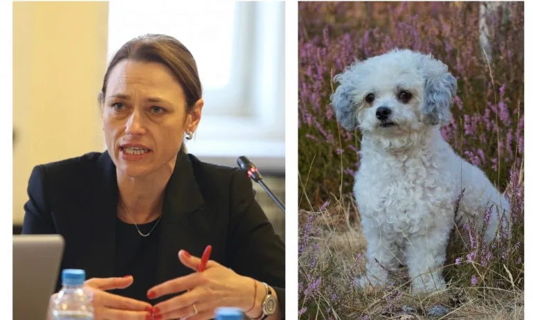 Ива Митева: Дончева ме нарече болонка, но това куче има силен характер - Tribune.bg