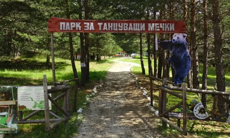 Хиляди се подписаха в защита на мечката, чийто отстрел искат в Белица - Tribune.bg