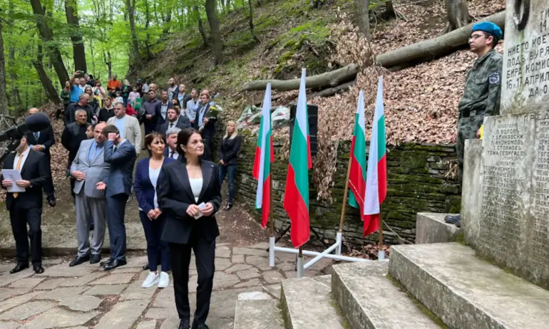 Росица Кирова: Заседание на НС – само при спешни и неотложни теми - Tribune.bg