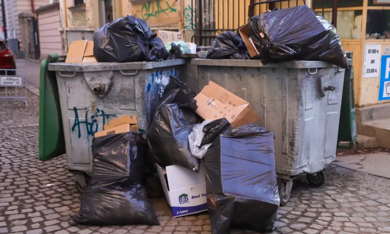 Мисля, че е назрял моментът да се върне бригадирското движение - Tribune.bg