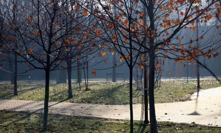 Слънчево време с максимални температури между 8° и 13° - Tribune.bg