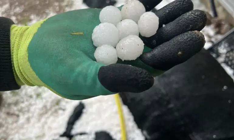 Комисии оценяват щетите от вчерашната опустошителна градушка - Tribune.bg