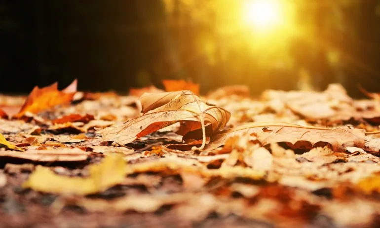 Последен топъл ден, в четвъртък и петък идват дъжд и застудяване - Tribune.bg