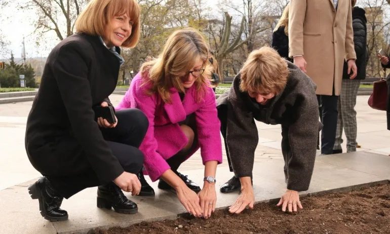 Лалета в цветовете на българския флаг ще красят София напролет - Tribune.bg