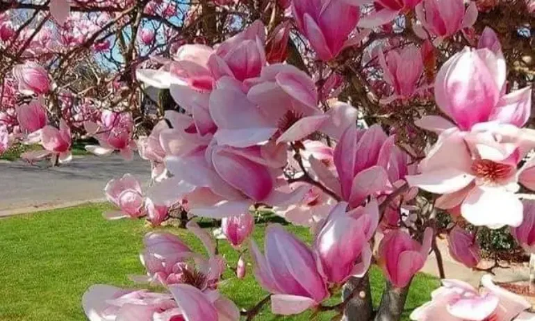 Затоплянето продължава. Облаци през уикенда, но и температури до 18 градуса - Tribune.bg