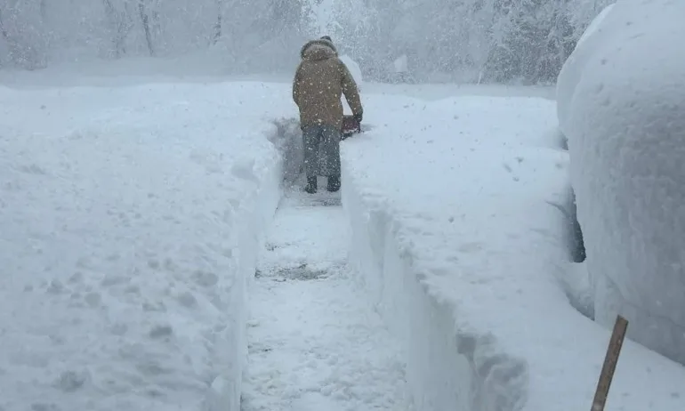 Мощна снежна буря връхлетя североизточните щати на САЩ – от Мериленд до Мейн. Отмени са много полети - Tribune.bg
