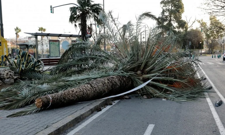 9 жертви на бурите и проливните дъждове в Европа - Tribune.bg