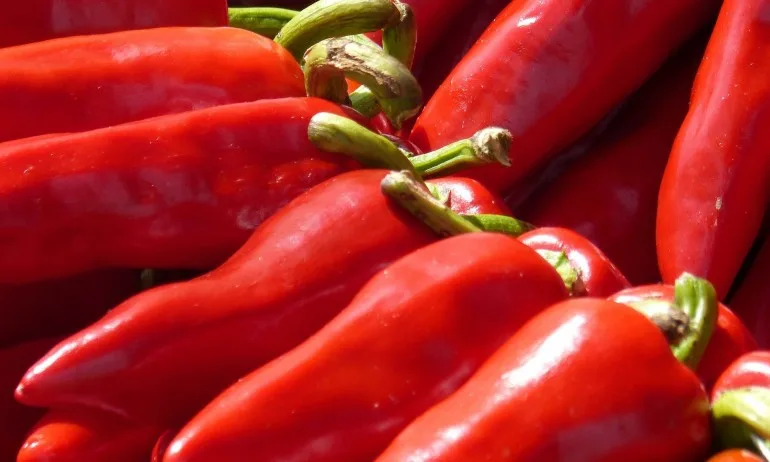 БАБХ спря внос на пипер и нар с пестициди от Турция - Tribune.bg