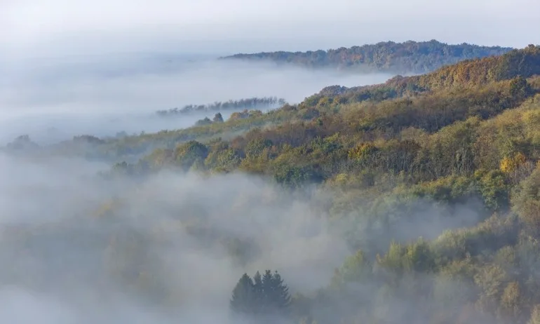 Жълт код за ниски температури в Западна България - Tribune.bg