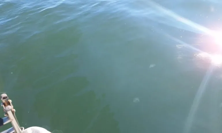 Намериха следи от изчезналия риболовен кораб край Приморско - Tribune.bg