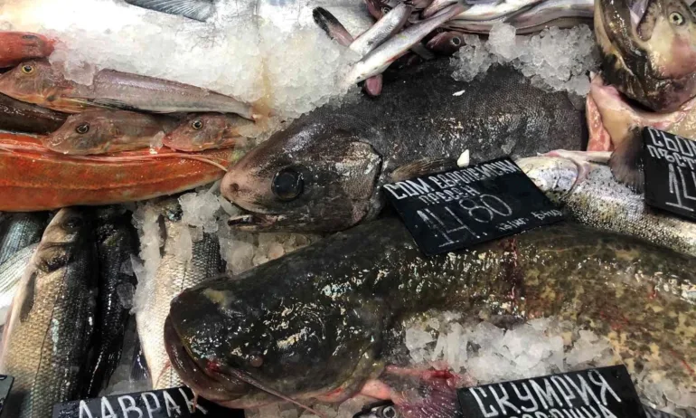 Активни потребители: Замразена скумрия е рекордьор по завишено съдържание на хистамин - Tribune.bg