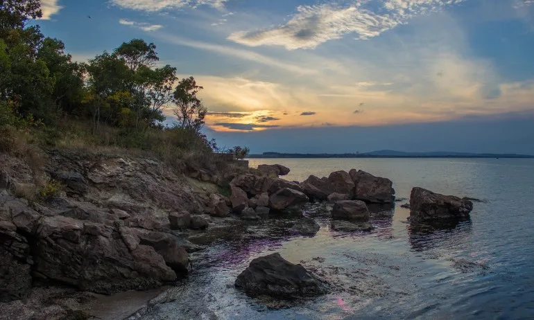 Зелените използват любителите на природата за частните си финансови и партийни интереси - Tribune.bg