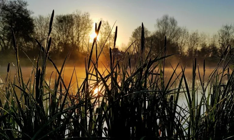 Проф. Георги Рачев: От утре започва затопляне, температури до 30 градуса - Tribune.bg