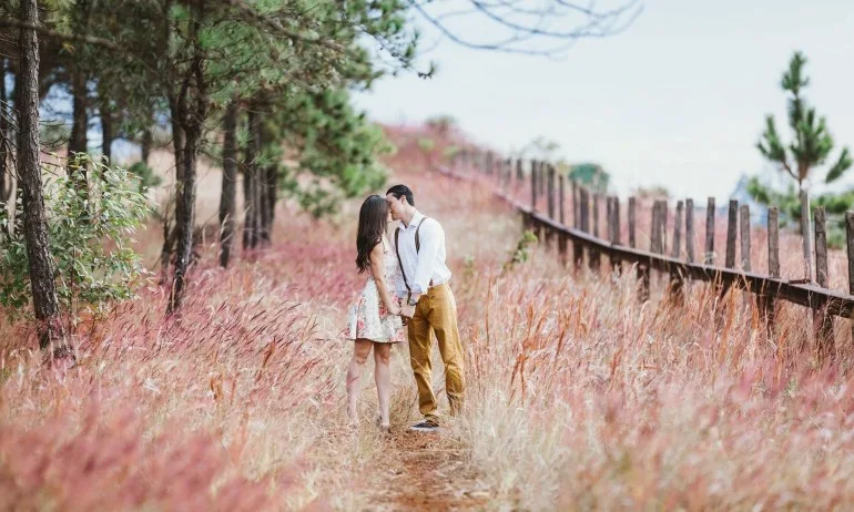 Рецепта за щастие - Tribune.bg