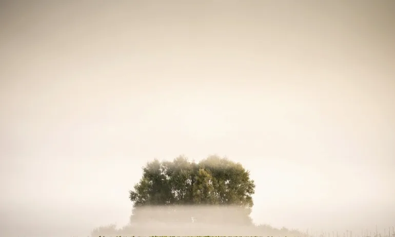 Вибрации на деня – дипломация и търпение! - Tribune.bg