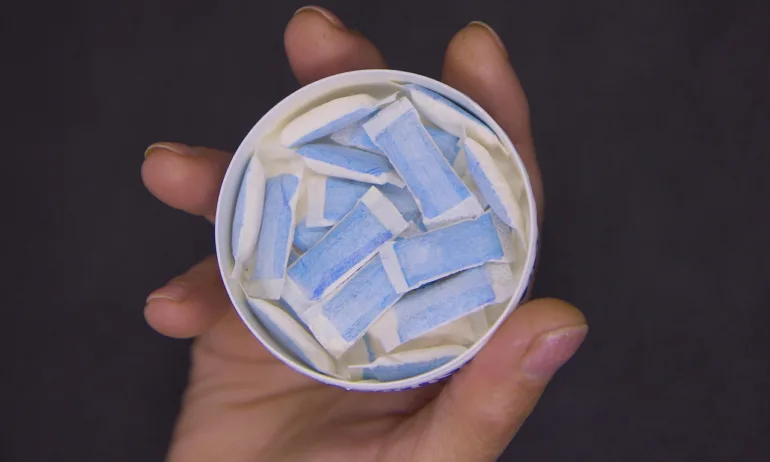 Предлагат пълна забрана на никотиновите торбички снус в България - Tribune.bg