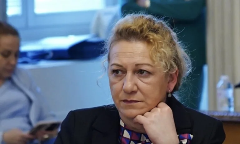 Стела Николова: Практиките за предоставяне на социални услуги нелегално трябва да бъдат криминализирани - Tribune.bg