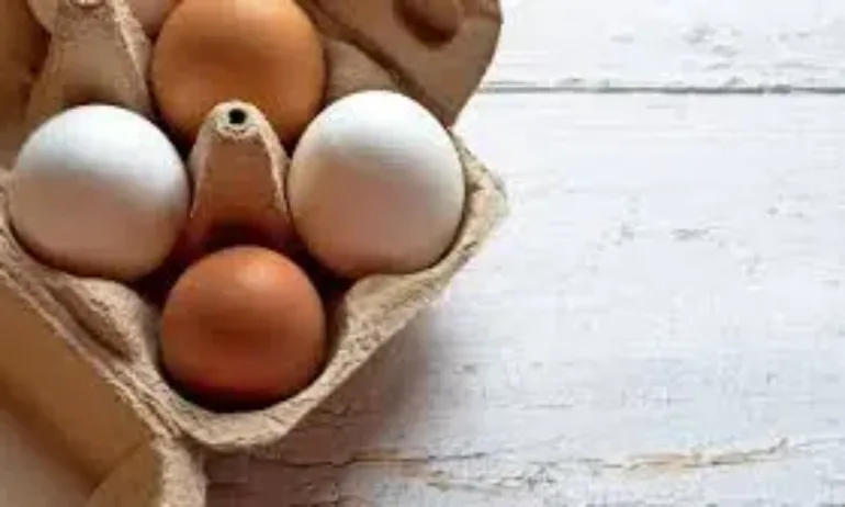 Опасно вещество, причиняващо рак, е открито в яйца в Европа - Tribune.bg