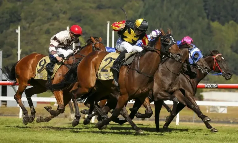 Трагедия! Кон стъпка жокей в Нова Зеландия - Tribune.bg