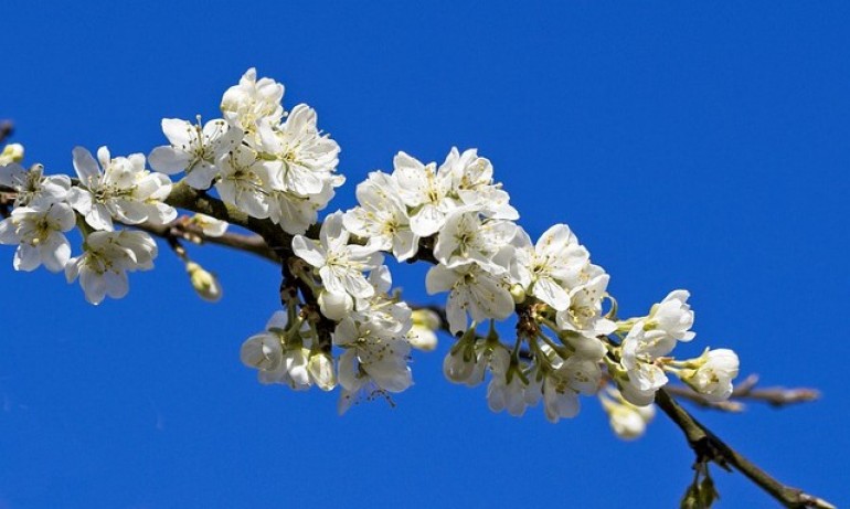 Слънчево и топло време ни очаква днес - Tribune.bg