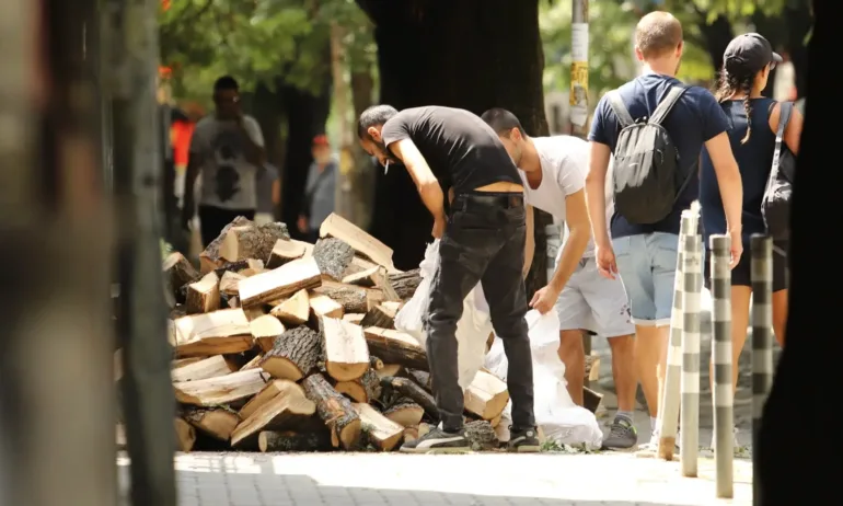 Над 1.5 милиона домакинства в България се отопляват на дърва,
