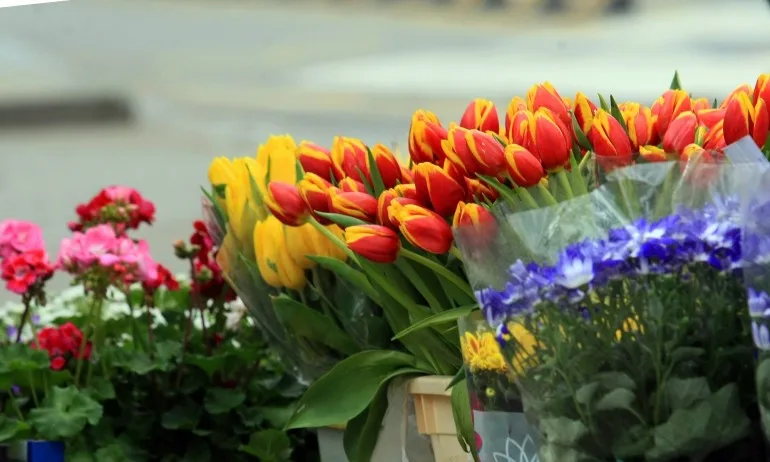 Цветница – празник на цветята - Tribune.bg