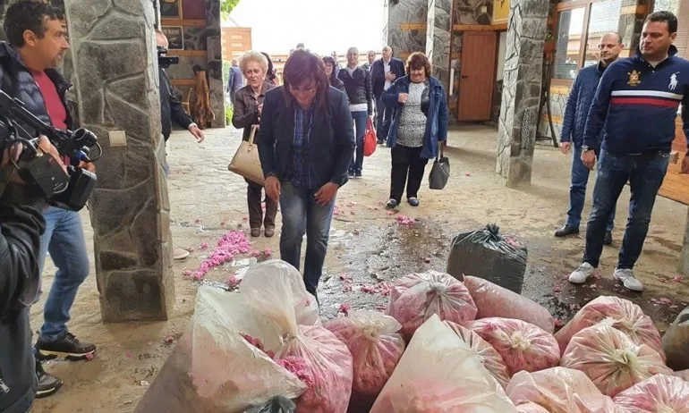 Корнелия Нинова по терлички в Казанлъшко - Tribune.bg