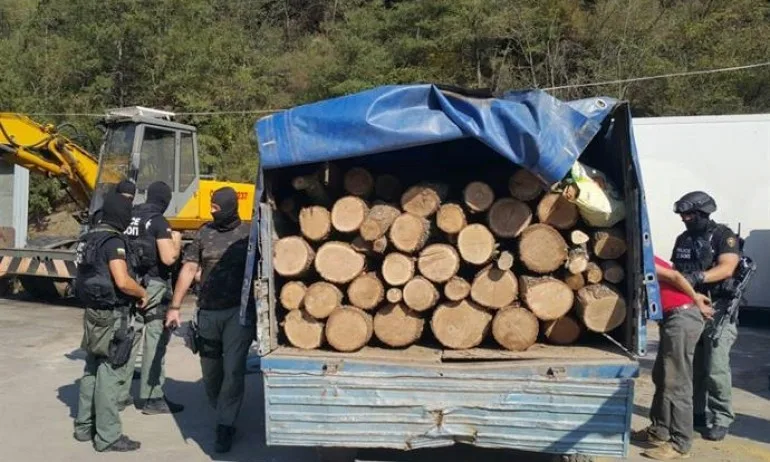 Дървената мафия- Само тази година продали дървесина за четвърт милион - Tribune.bg