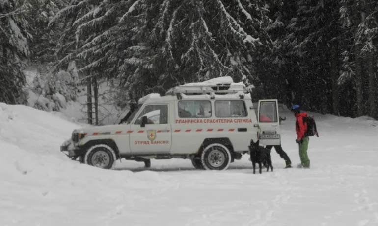 Спасители с кучета и доброволци търсят изчезналия сноубордист в района на Картала - Tribune.bg