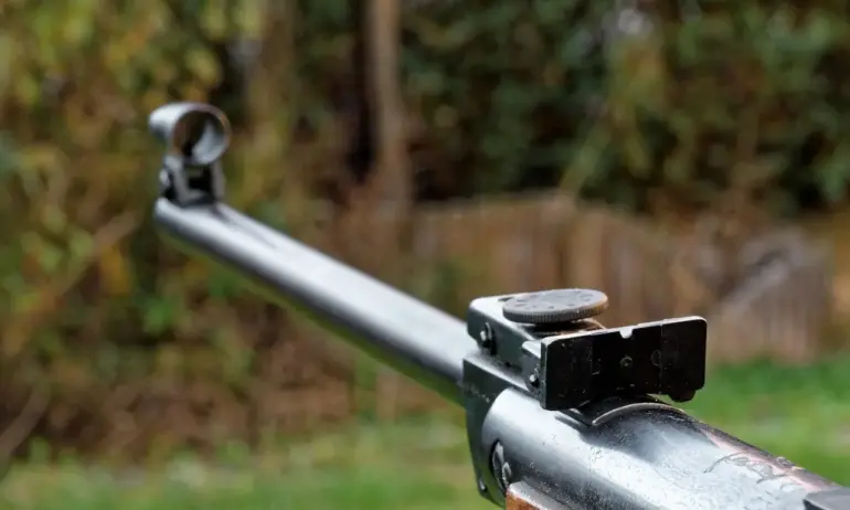 Насилие: Мъж простреля с пушка и уби домашната котка на свои съседи - Tribune.bg