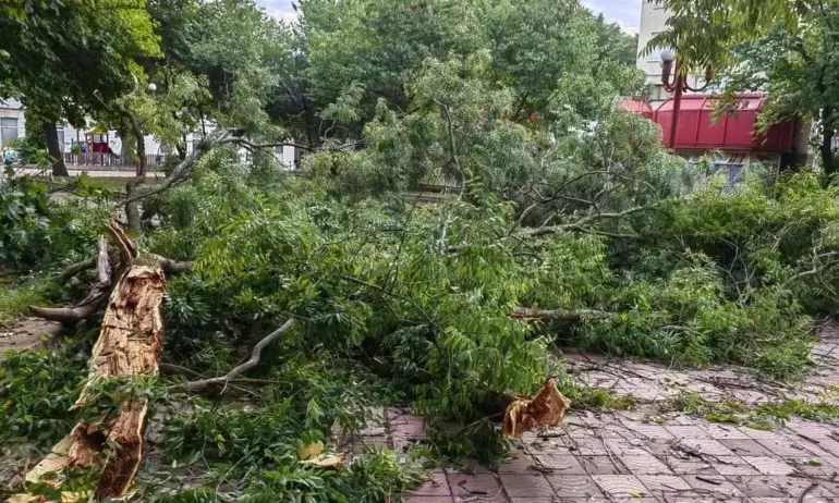 Проф. Георги Рачев: При гръмотевична буря стойте далеч от плажа и по възможност на закрито - Tribune.bg
