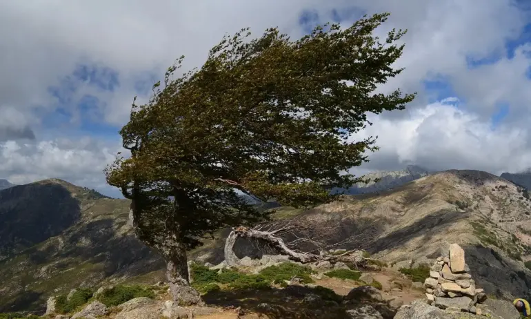 Ветровито време в много райони на страната - Tribune.bg
