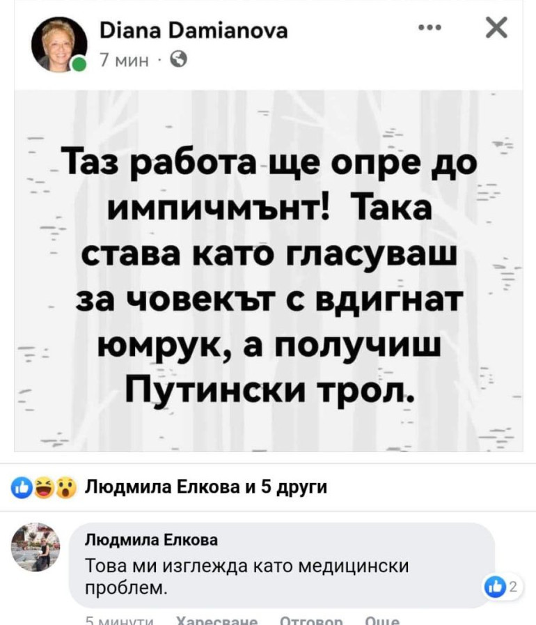 Диана Дамянова/Фейсбук