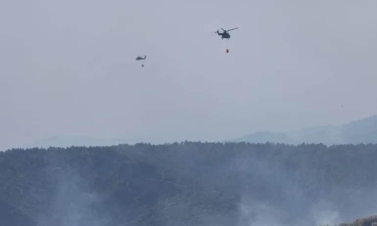 Пожар в защитената местност Калимок – Бръшлен, местообитание на хиляди защитени видове - Tribune.bg