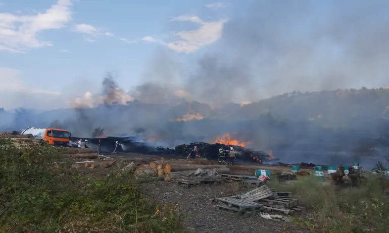 Бърз влак причини огромен пожар на гара Кочериново, Е-79 е затворен - Tribune.bg