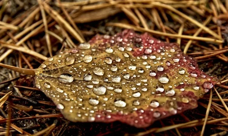 Дъжд и гръмотевици през почивните дни, от понеделник сняг - Tribune.bg