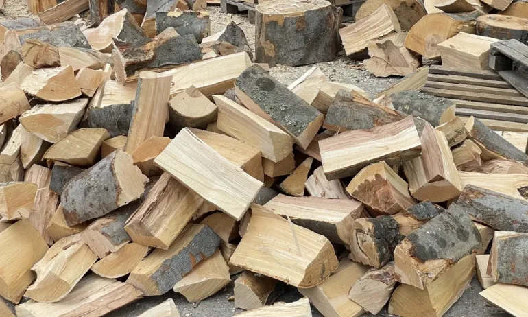 Дървата за огрев в Гърция поскъпнаха двойно – няма внос от България - Tribune.bg