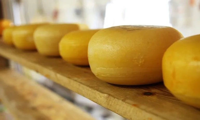 Производители: Сирене под 16 лв. и кашкавал за по-малко от 24 лв. вероятно са ментета - Tribune.bg