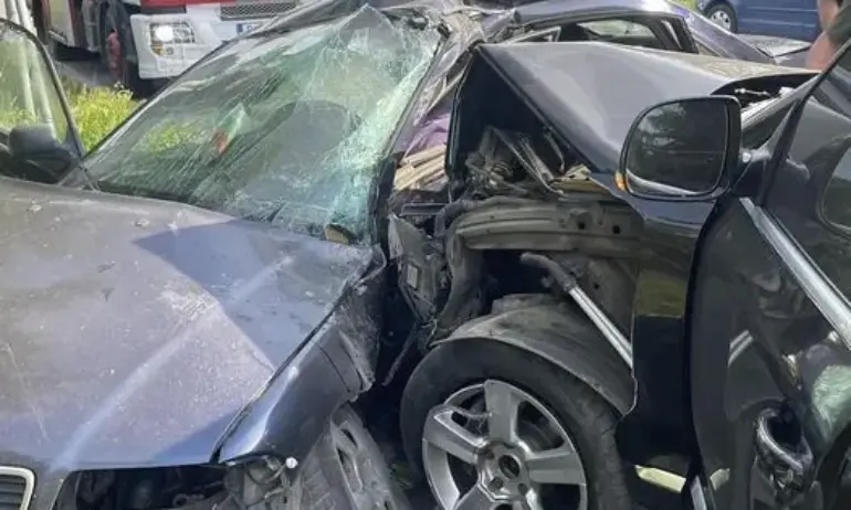 Шефът на областното пътно управление във Варна е отстранен заради катастрофата с К. Петков - Tribune.bg