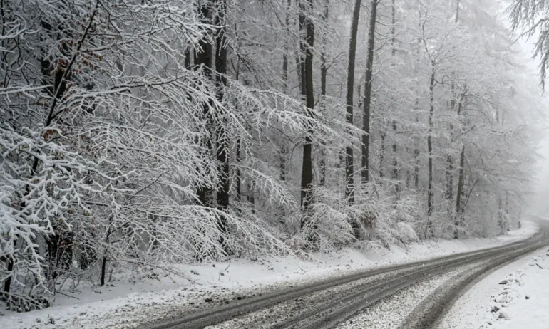 АПИ предупреждава: Автомобилите да са готови за зимни условия - Tribune.bg