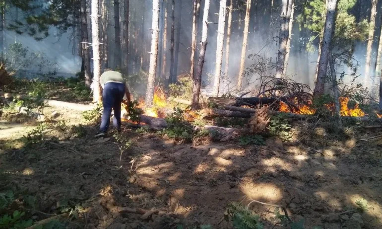 Горски пожар в Сакар планина, огънят е обхванал около 5000 дка - Tribune.bg