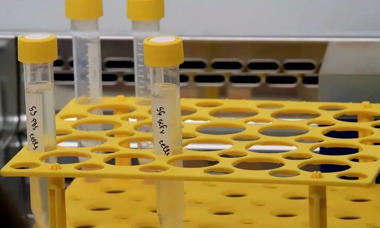 Отпада отрицателният PCR за ученици и студенти от Балканите, пътуващи до България - Tribune.bg