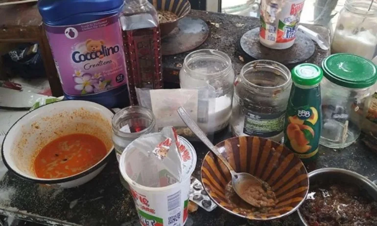 Социалното министерство: Съдилищата ни подкрепиха, че трите деца от с. Балша са били в риск - Tribune.bg