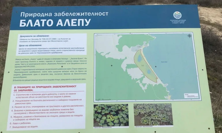 Експерт: Без документите е трудно да се каже дали изграденото на Алепу е част от укрепване на брега - Tribune.bg