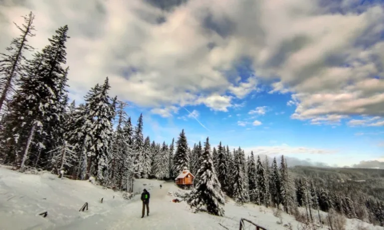 ПСС: Ураганни ветрове и мъгла в планините - Tribune.bg