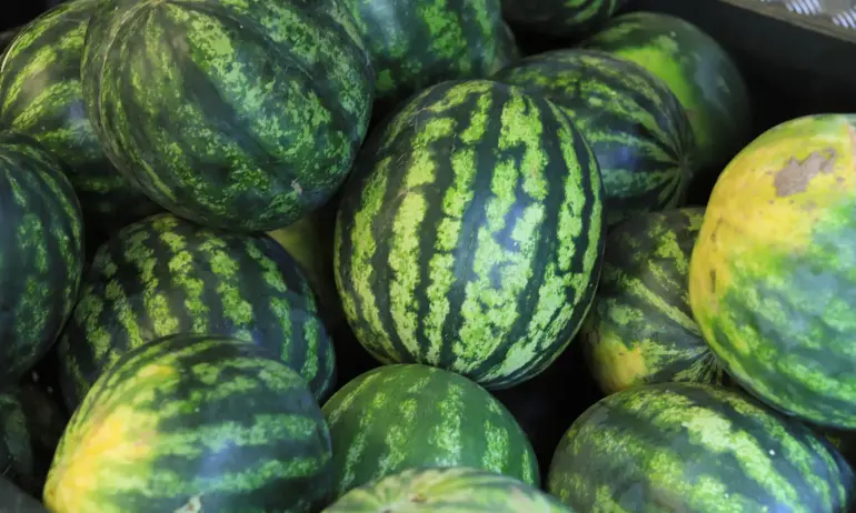 Плодовете поскъпват на борсите, поевтиняват само дините - Tribune.bg