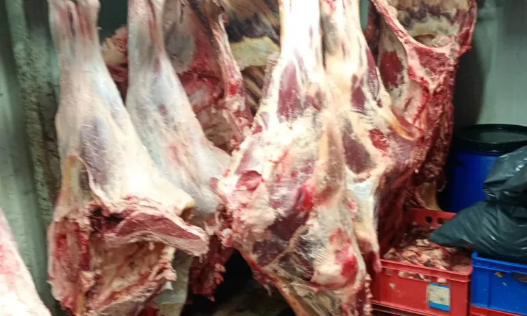 10 тона нелегално месо откриха в кланица в Дебелец - Tribune.bg