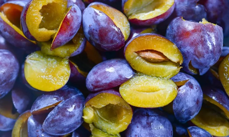 Лечебните свойства на сините сливи - Tribune.bg