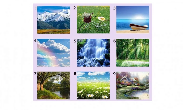 Тест – какви сте като личност - Tribune.bg