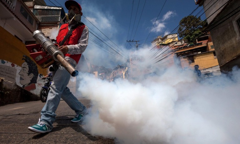 Една мутация дели вирусът Зика от световна пандемия - Tribune.bg